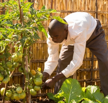 nuskin malawi 2014 nuskin malawi 2014