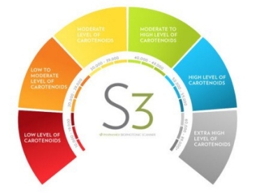 what-does-your-scanner-score-mean-pic-en - Edited (3) Nu Skin Biophotonic Scanner results