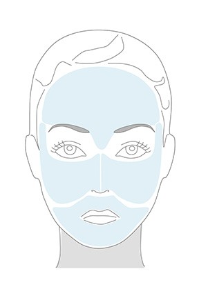 quadrants of the face defined for ageloc lumispa facial cleansing device