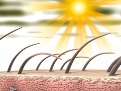 SunPollution SunPollution